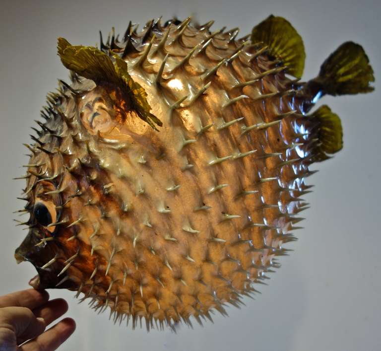 Giant Vintage Puffer Fish Chandelier 3