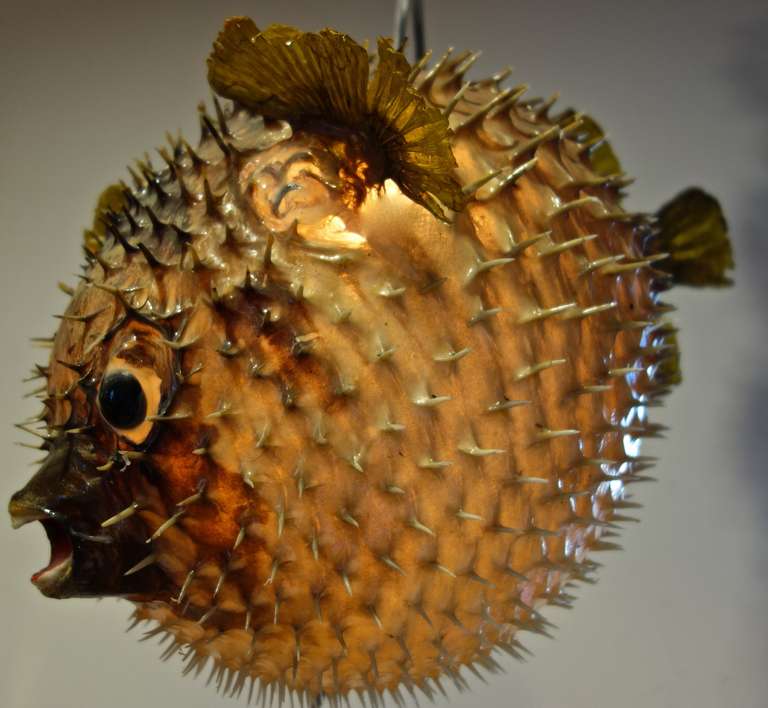 Giant Vintage Puffer Fish Chandelier 4