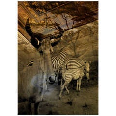 "Aura in Mapping to Fields of Flowers," "Hartebeest" Print