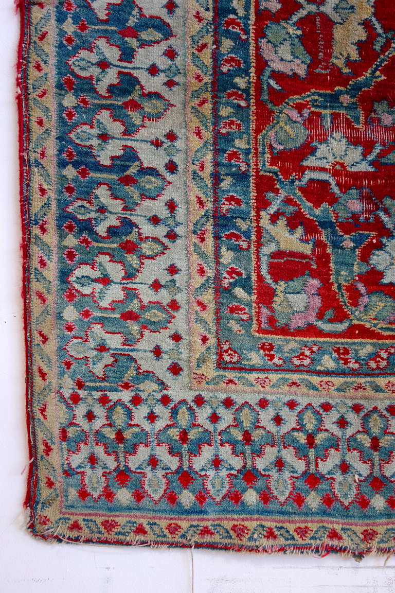 Wool 19th C. Agra From Aileen Getty Collection