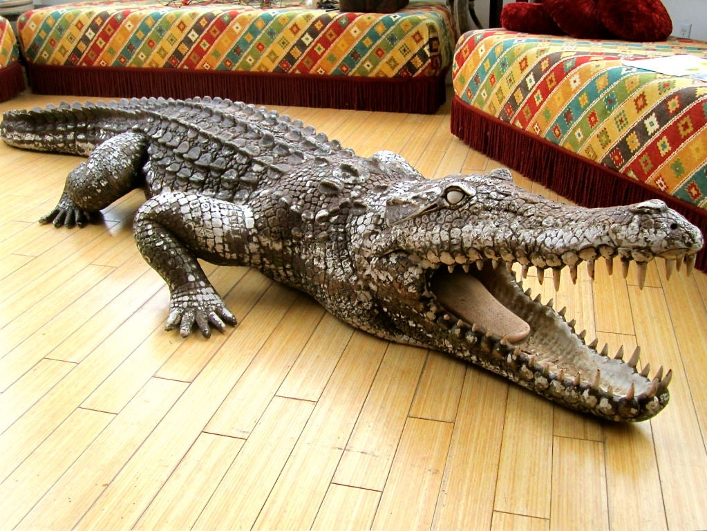 11' Crocodile