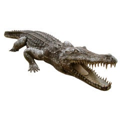 11' Crocodile