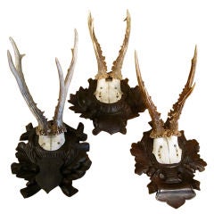 Trio of 1930s Black Forest Coat Racks