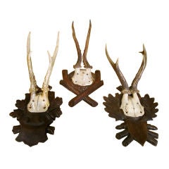 Trio of 1930s Black Forest Coat Racks #2