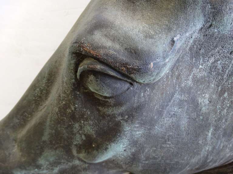 Life-Size Classical Style Bronze Horse Head