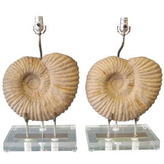 Pair 'Faux Fossil" Lamps