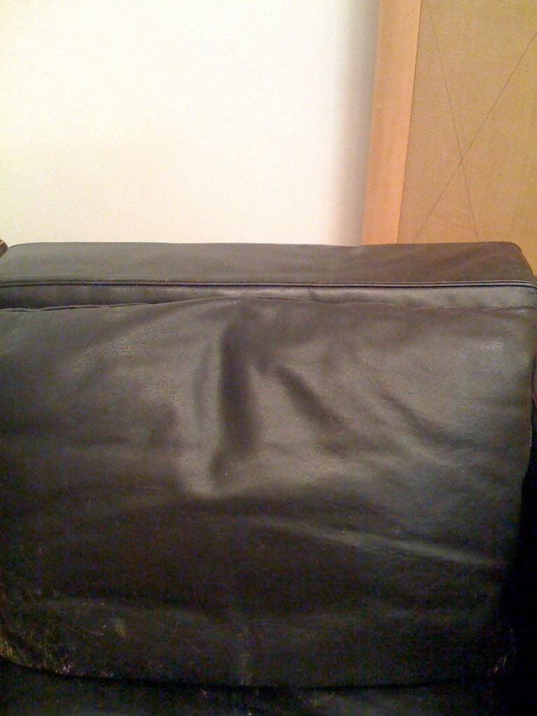 Robert Haussmann 1960s Leather and Down Sofa 1