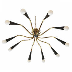 Italian "Ragno" Flush  Light