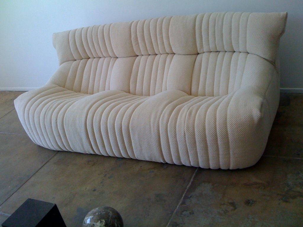 Michel Ducaroy Sofa