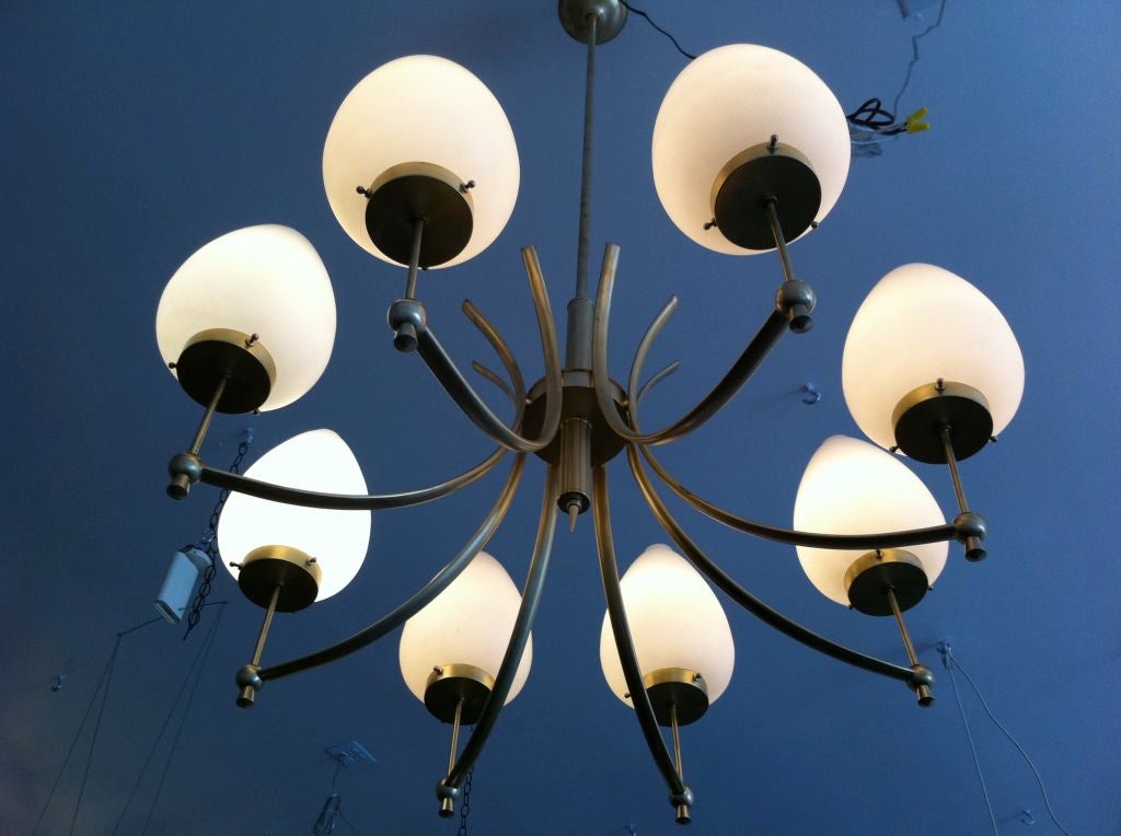 Stilnovo Fifties Chandelier 5