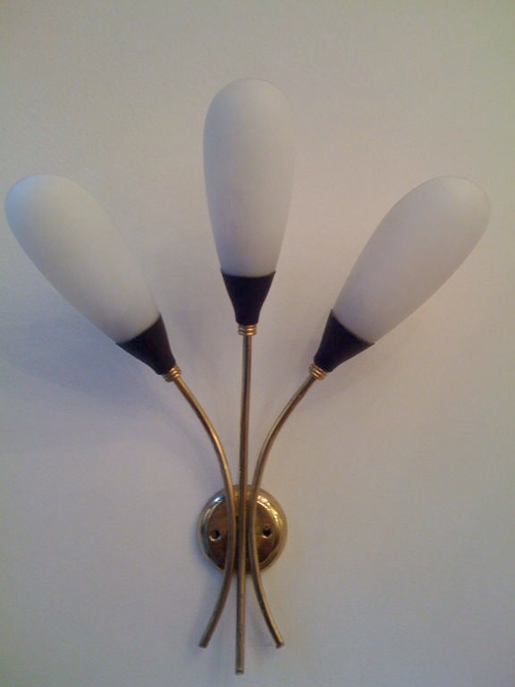 Pair of Italian Fifties Wall Sconces 1