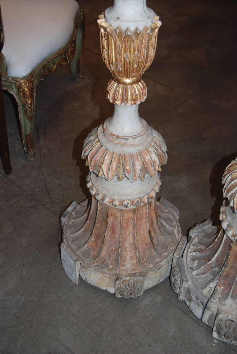 Wood Pair of 18th Century Carved and Gilded Italian Torcheres For Sale