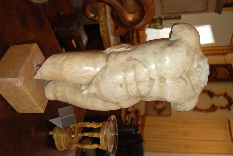 19th c. Marble Torso