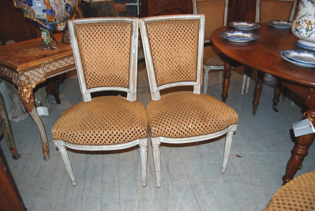 Louis XVI style painted Dining Chairs