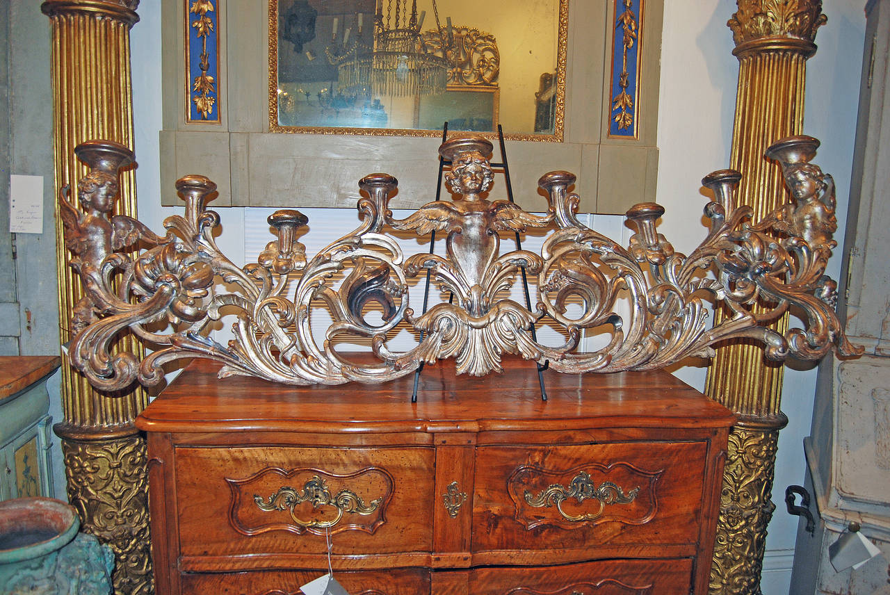 19th Century Silverwood Candelabra