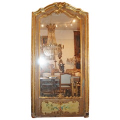 19th Century Venetian Mirrored Door