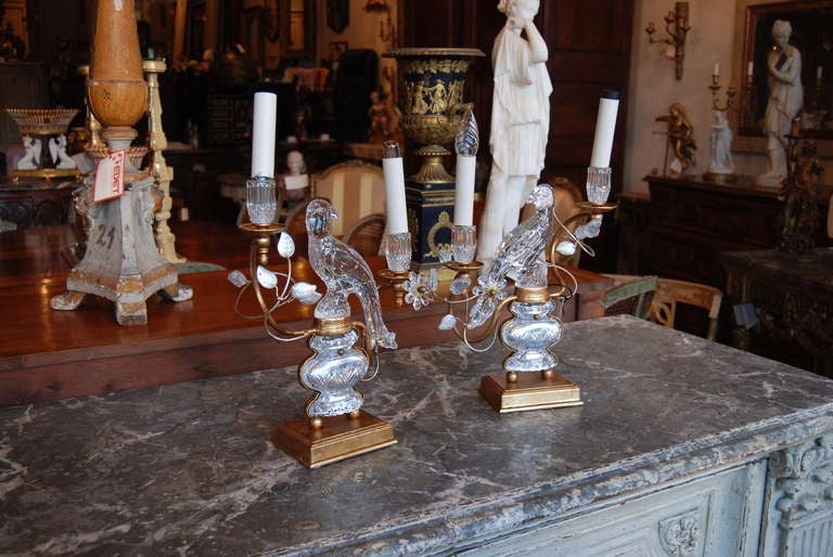 Pair of Crystal Parrot Lamps