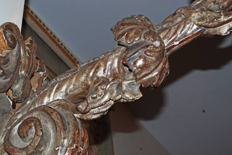 Pair of 18th Century Silverwood Sconces For Sale 1