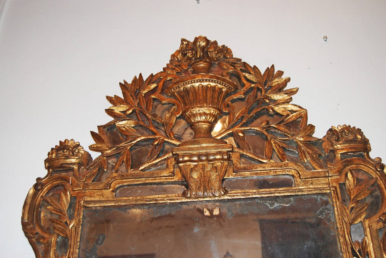 Regency 18th Century Regence Giltwood Mirror