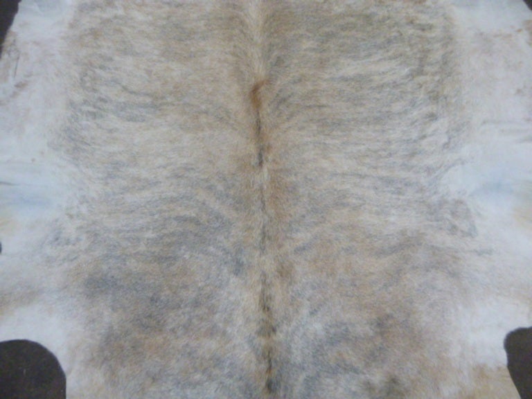 American Cowhide Area Rug in Multiple Colors For Sale