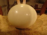 Vintage Ostrich Egg