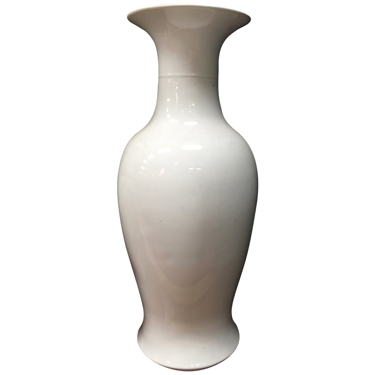 19th Century Chinese White Monochrome Vase