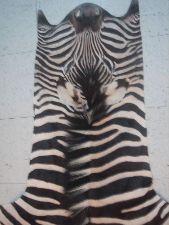 African Vintage Zebra Skin Rug