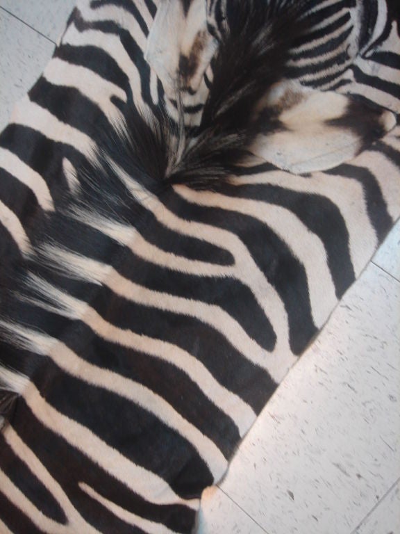 Vintage Zebra Skin Rug In Excellent Condition In New York, NY