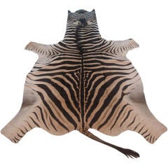 Vintage Zebra Skin Rug