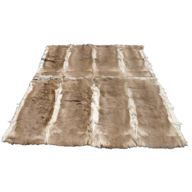 Antelope Fur Hide Rug at 1stDibs