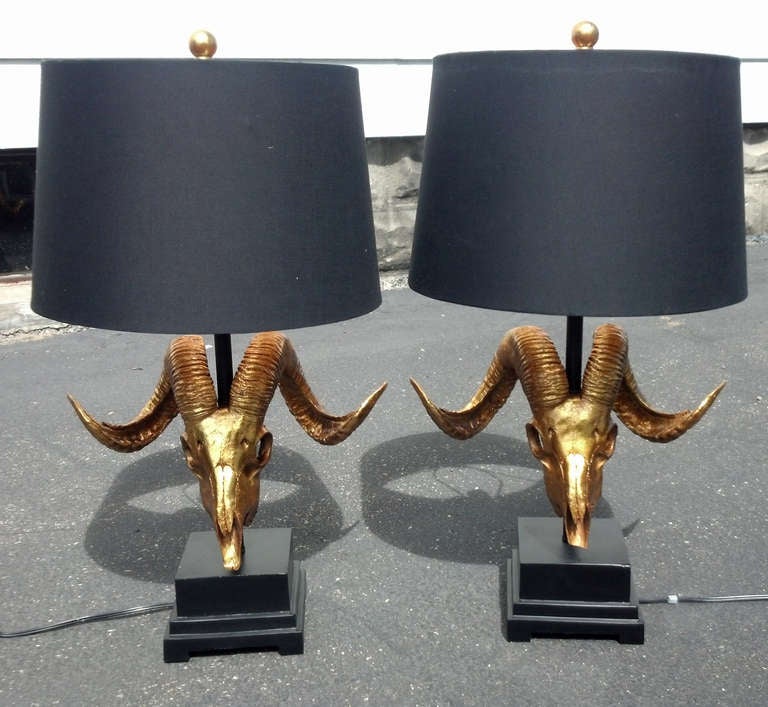 Pair of gilded ram skull form lamps. These are made from cast and gilded resin. They are very dramatic and very elegant.
27inches tall overall, 14 inches to the top of the horns.   The base is 6in. x6in. with the skull being 10inches deep and and