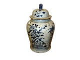BLue
White GInger Jar BLue
White GInger Jar