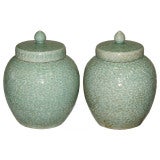 Pair of Celadon Ginger Jars