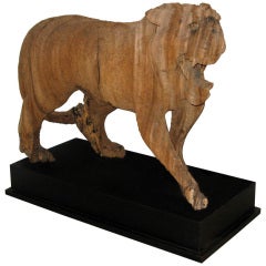 Eroded Burmese Tiger 6