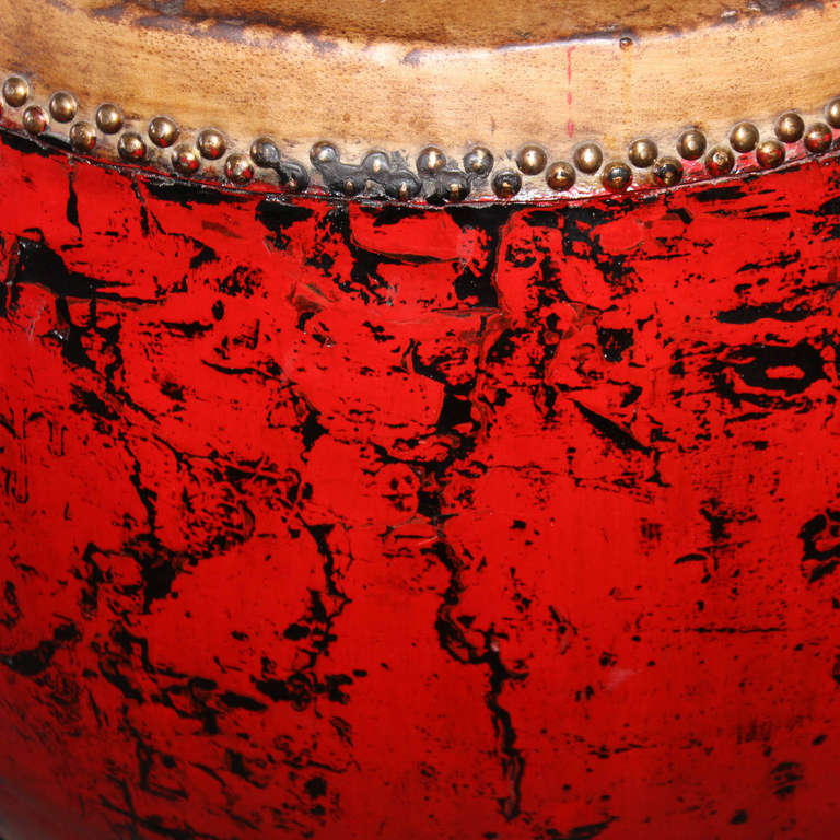 Chinese Hubei Red Drum