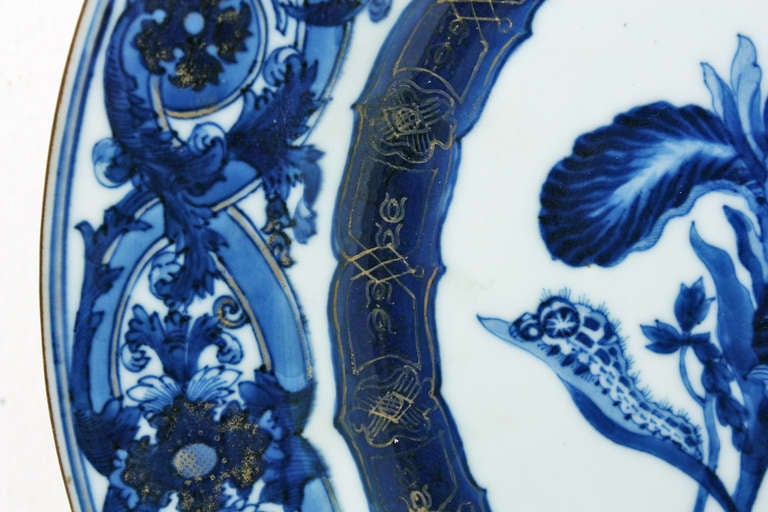Maria Sibylla Merian Chinese Export Porcelain Plate Circca 1730 In Good Condition In San Francisco, CA