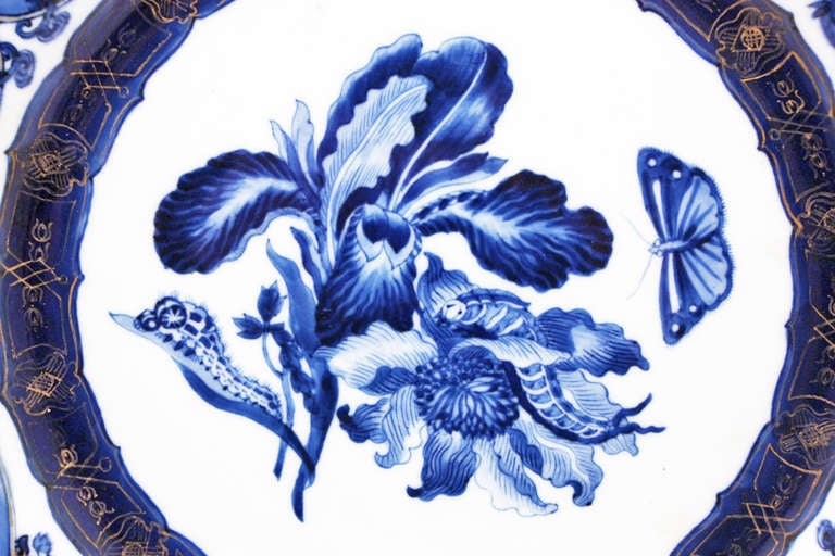 18th Century and Earlier Maria Sibylla Merian Chinese Export Porcelain Plate Circca 1730