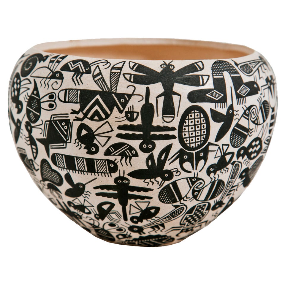 Acoma "Insect" Pot