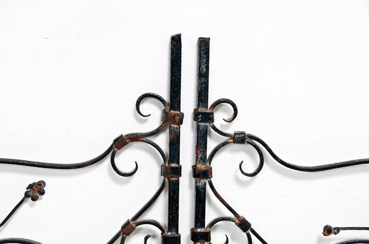 French or Spanish Wrought Iron Garden Gate, circa 1820 2