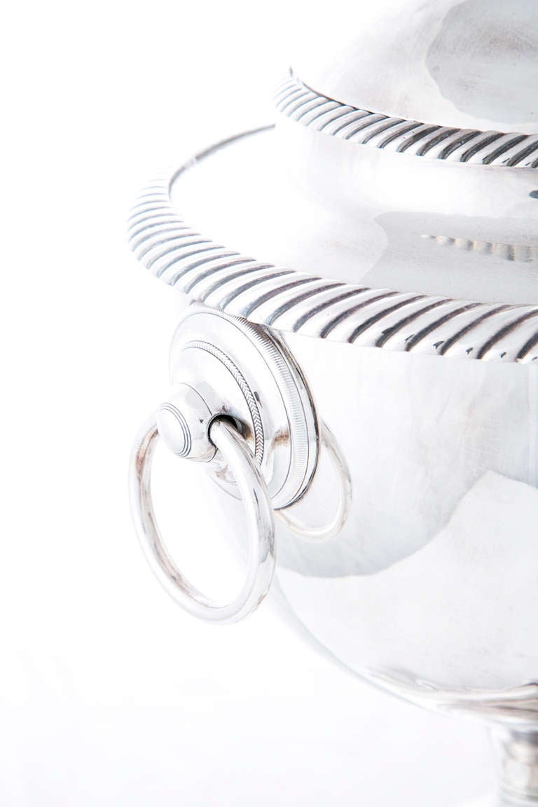 19th Century Regency Silver Plate Hot Water Urn