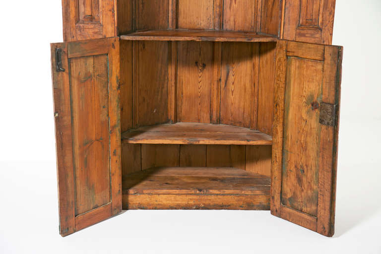 A Classic Georgian English corner cupboard or cabinet. Originally built into a room. Carved pine with wonderful old surface. Made late in the 18th or early in the 19th century. Particularly nice shell dome above the scalloped shelves. Nice storage