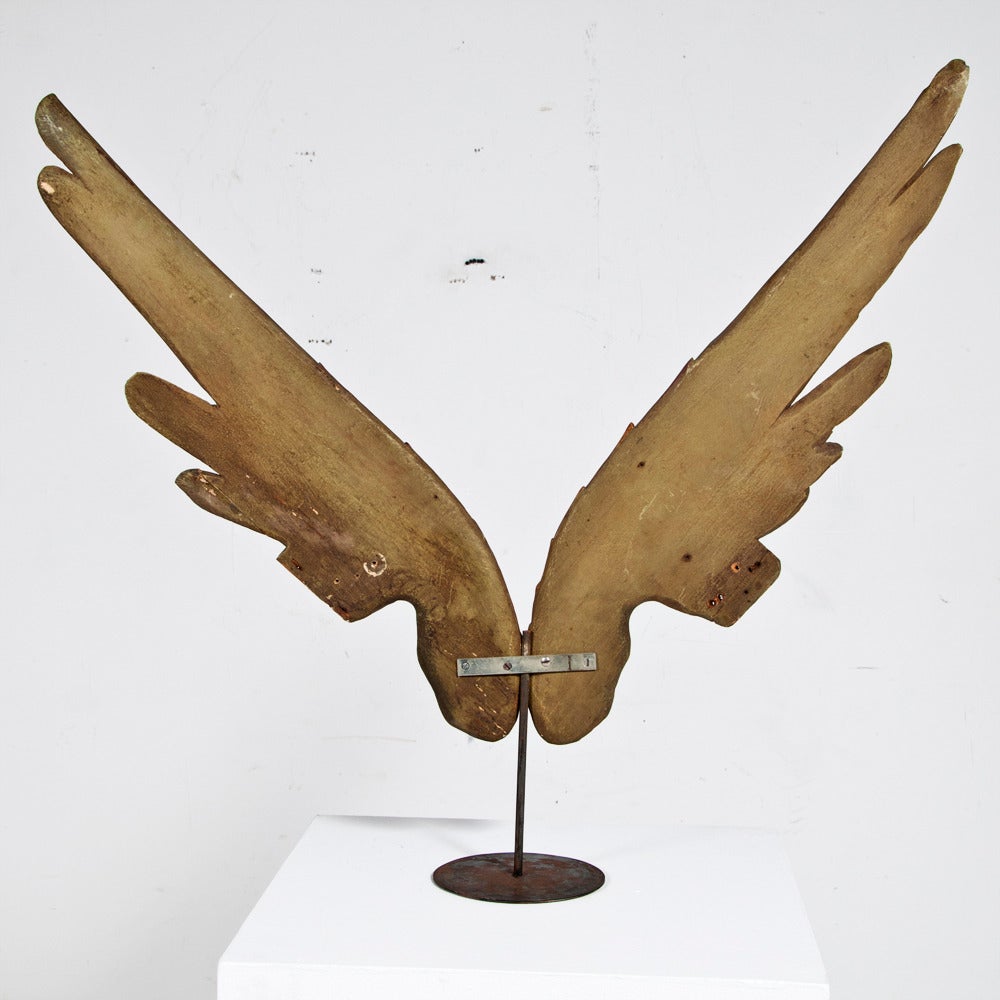 Early 20th Century Large Pair of Angels Wings in Wood and Paint, circa 1920