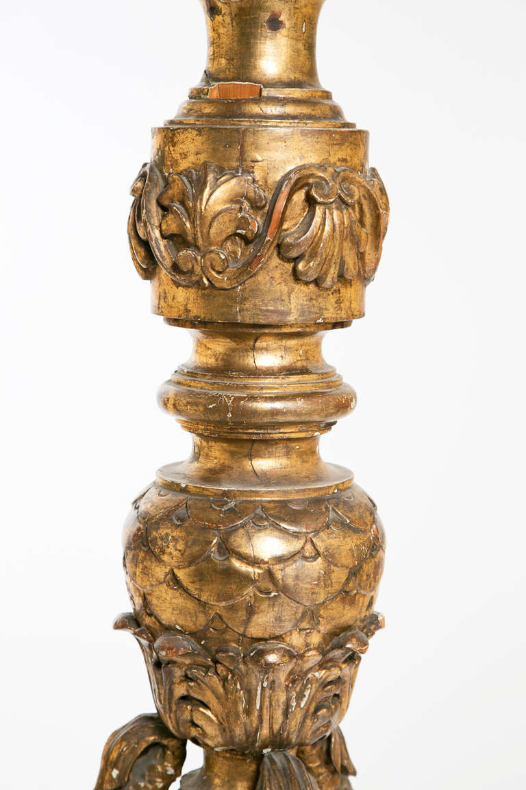 A very large classic Venetian gilt wood  baroque style torchere.  Elegantly carved with garlands, dolphins and acanthus leaves.  We think this piece dates to about 1920 and originally held a substantial candelabra.