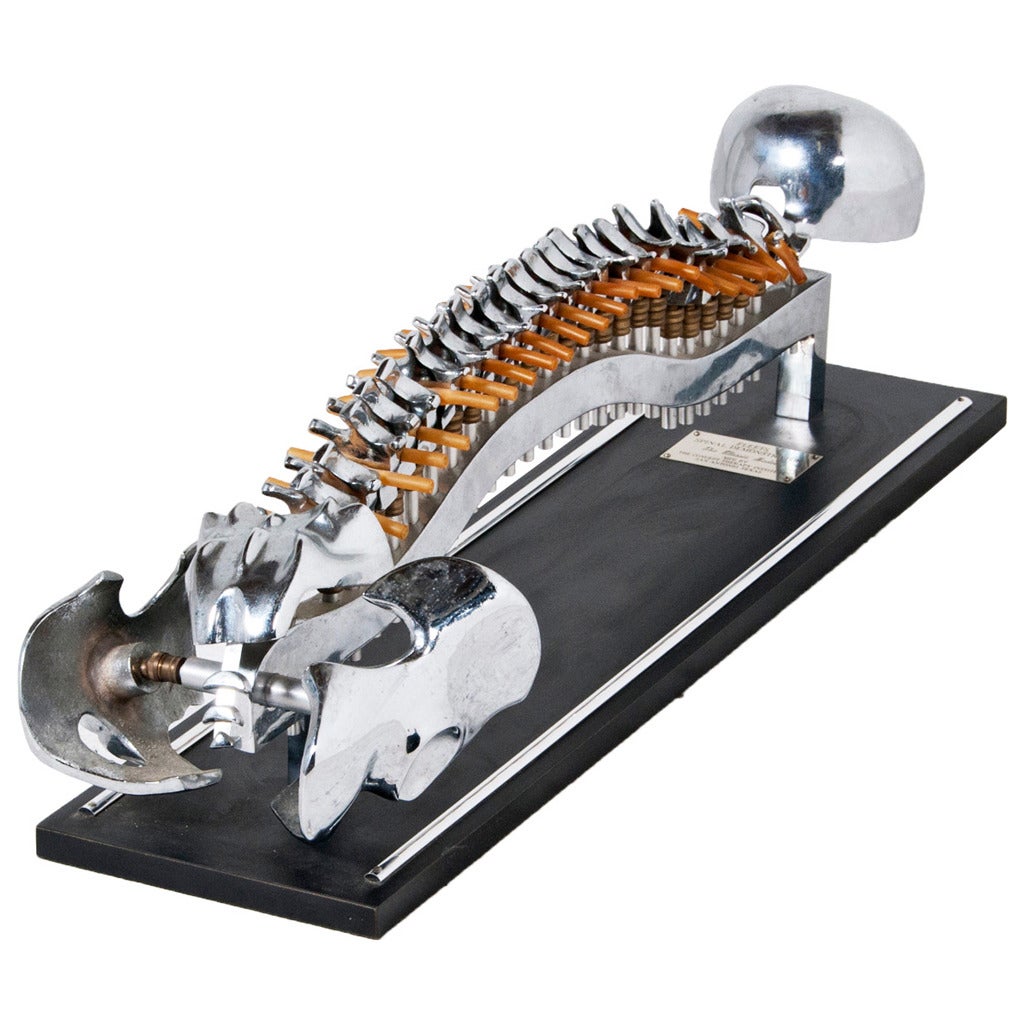 Doctor
s Articulated Steel Model of a Lifesize Human Spine, circa 1950