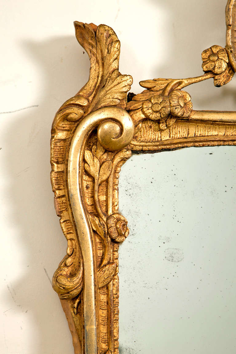 19th Century French Carved Gilt Wood Mirror