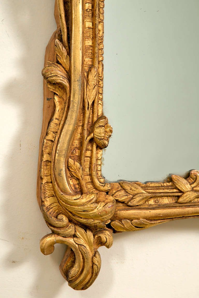 Gesso French Carved Gilt Wood Mirror