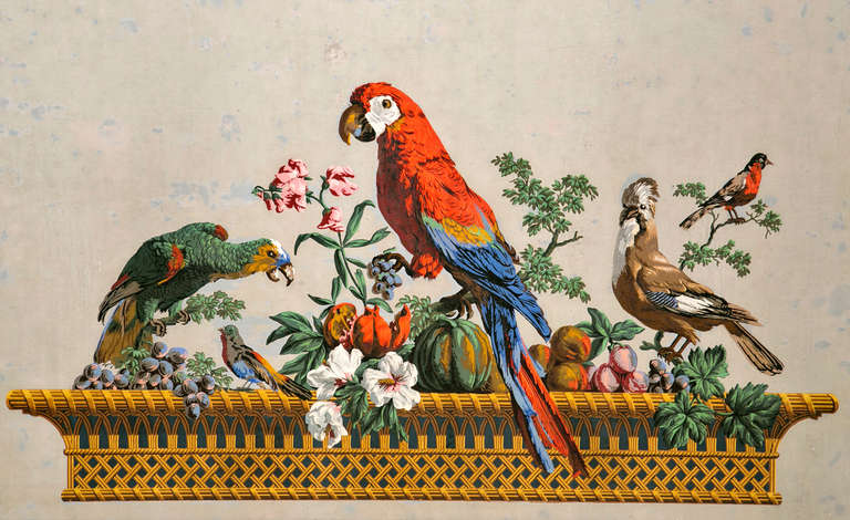 A very nice and large piece of French Empire period wall paper. Now mounted, conserved and framed. The paper depicts exotic new world birds perched on a tole wire centre piece. The colors are vibrant and the overall condition is very good. We date