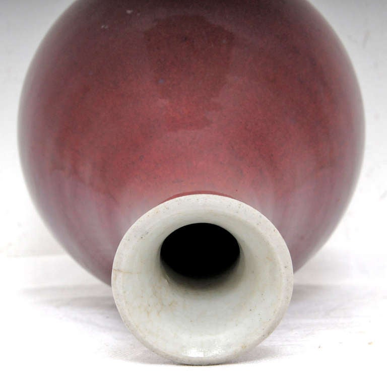 Chinese Ching Dynasty Ox Blood Vase