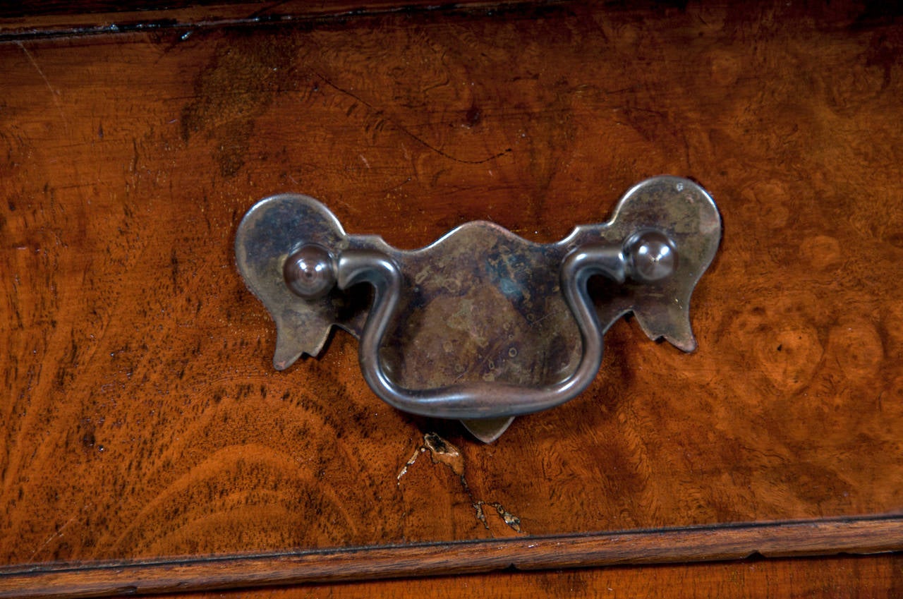 Wood English Walnut and Burled Walnut Pedestal Desk, c. 1900