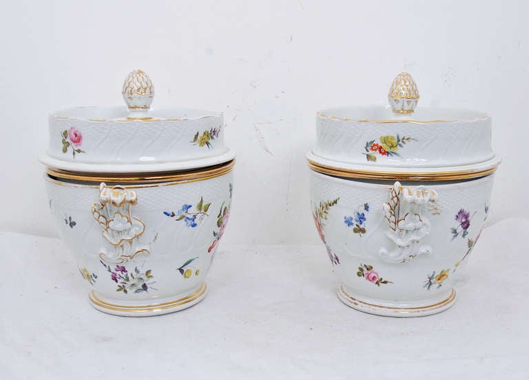 Rococo Rare Pair of 19th Century Porcelain Fruit Coolers